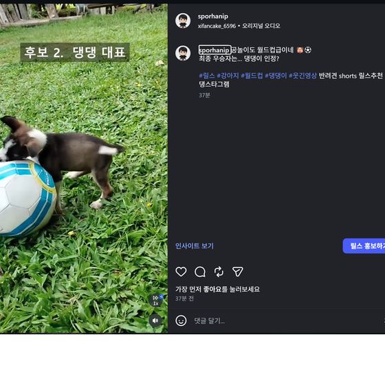 영상 편집·업로드