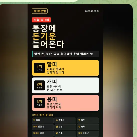 운세 카드뉴스