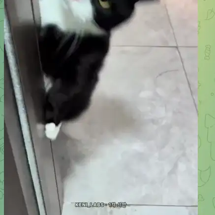 숏폼 영상
